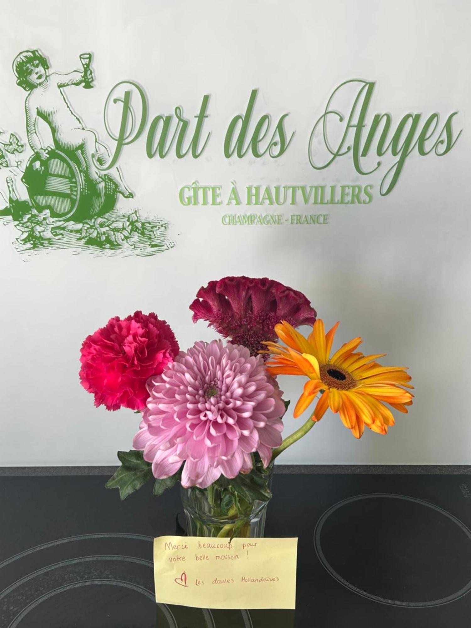 Part Des Anges - Gite Hautvillers Exteriér fotografie